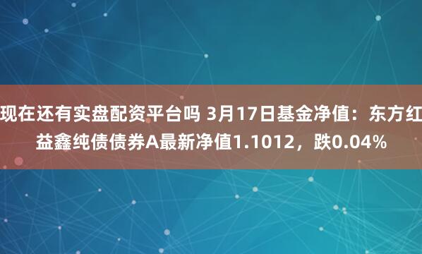 现在还有实盘配资平台吗 3月17日基金净值：东方红益鑫纯债债券A最新净值1.1012，跌0.04%