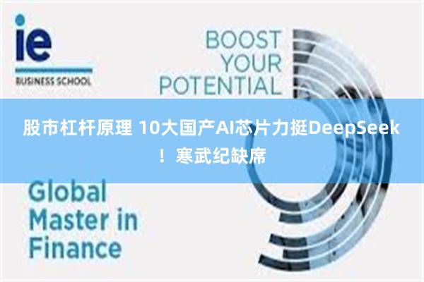 股市杠杆原理 10大国产AI芯片力挺DeepSeek！寒武纪缺席