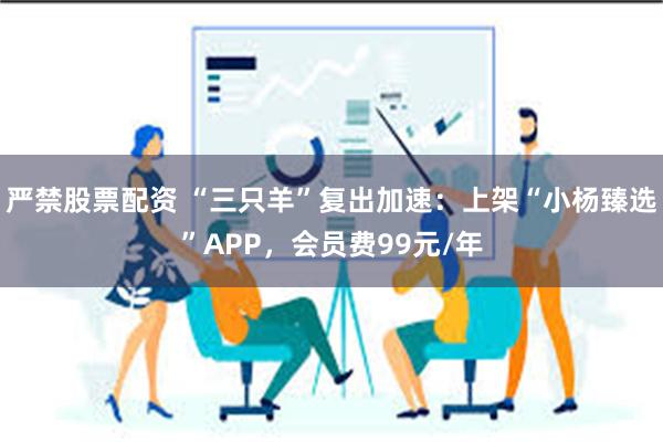 严禁股票配资 “三只羊”复出加速：上架“小杨臻选”APP，会员费99元/年