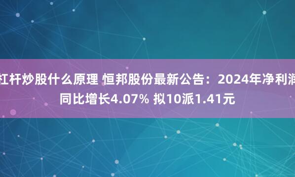 杠杆炒股什么原理 恒邦股份最新公告：2024年净利润同比增长4.07% 拟10派1.41元