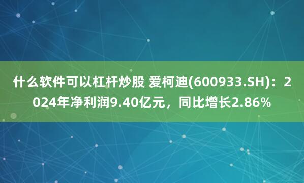 什么软件可以杠杆炒股 爱柯迪(600933.SH)：2024年净利润9.40亿元，同比增长2.86%