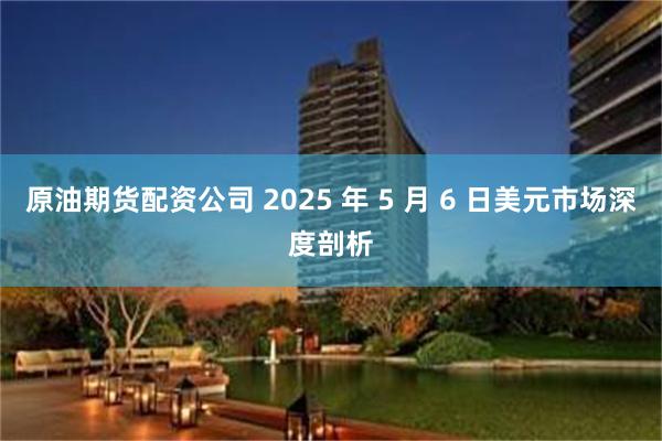 原油期货配资公司 2025 年 5 月 6 日美元市场深度剖析