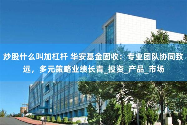 炒股什么叫加杠杆 华安基金固收：专业团队协同致远，多元策略业绩长青_投资_产品_市场