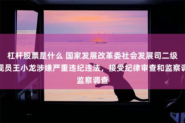 杠杆股票是什么 国家发展改革委社会发展司二级巡视员王小龙涉嫌严重违纪违法，接受纪律审查和监察调查