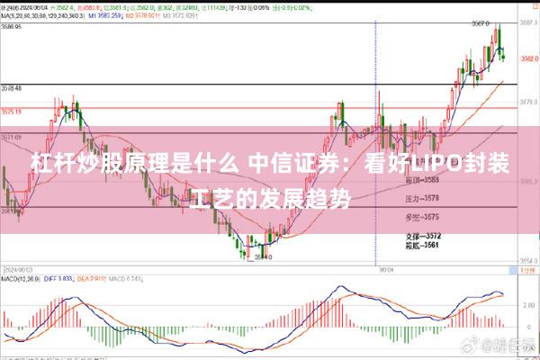 杠杆炒股原理是什么 中信证券：看好LIPO封装工艺的发展趋势