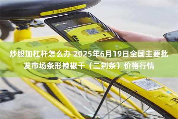 炒股加杠杆怎么办 2025年6月19日全国主要批发市场条形辣椒干（二荆条）价格行情