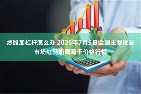 炒股加杠杆怎么办 2025年7月5日全国主要批发市场红马奶葡萄干价格行情
