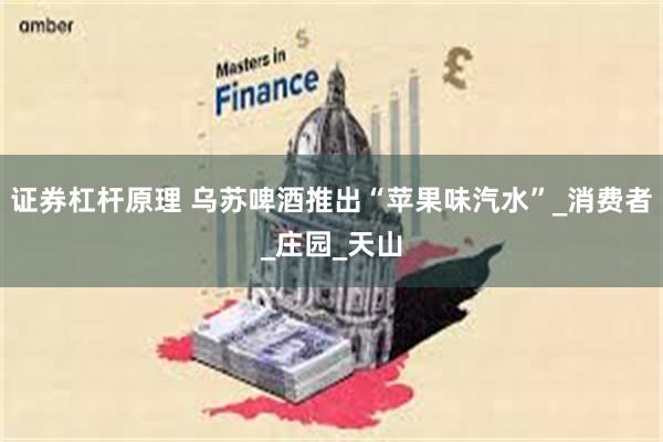 证券杠杆原理 乌苏啤酒推出“苹果味汽水”_消费者_庄园_天山