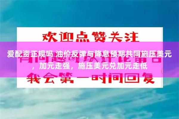 爱配资正规吗 油价反弹与降息预期共同施压美元，加元走强，施压美元兑加元走低