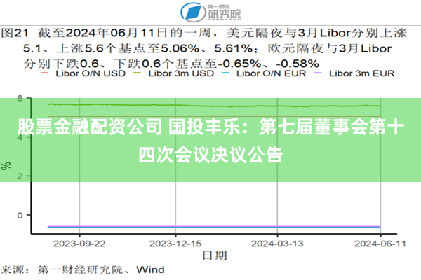 股票金融配资公司 国投丰乐:第七届董事会第十四次会议决议公告