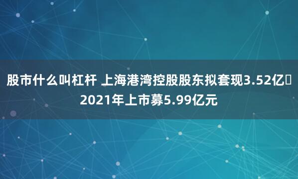 股市什么叫杠杆 上海港湾控股股东拟套现3.52亿 2021年上市募5.99亿元