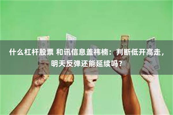 什么杠杆股票 和讯信息盖祎楠：判断低开高走，明天反弹还能延续吗？