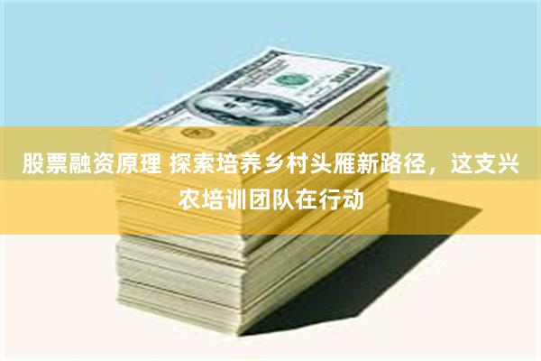 股票融资原理 探索培养乡村头雁新路径，这支兴农培训团队在行动