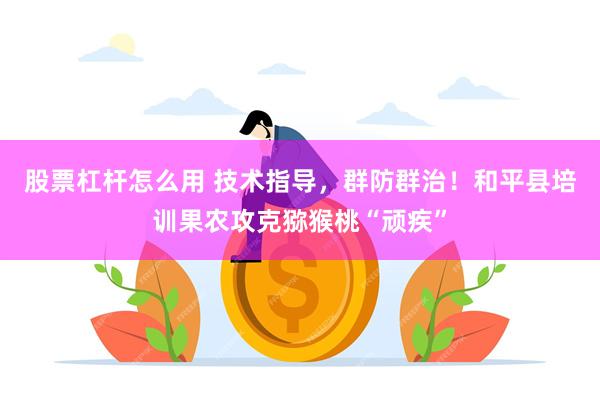 股票杠杆怎么用 技术指导，群防群治！和平县培训果农攻克猕猴桃“顽疾”