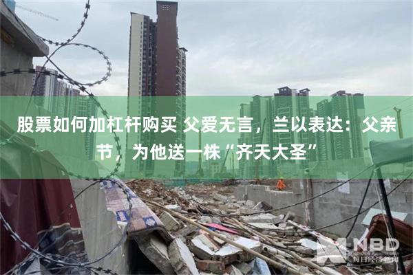 股票如何加杠杆购买 父爱无言，兰以表达：父亲节，为他送一株“齐天大圣”
