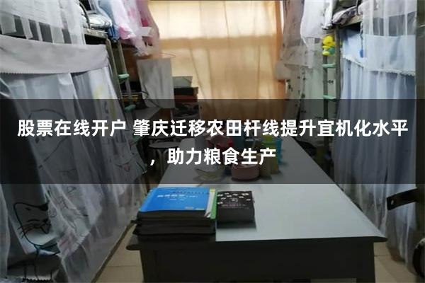 股票在线开户 肇庆迁移农田杆线提升宜机化水平，助力粮食生产