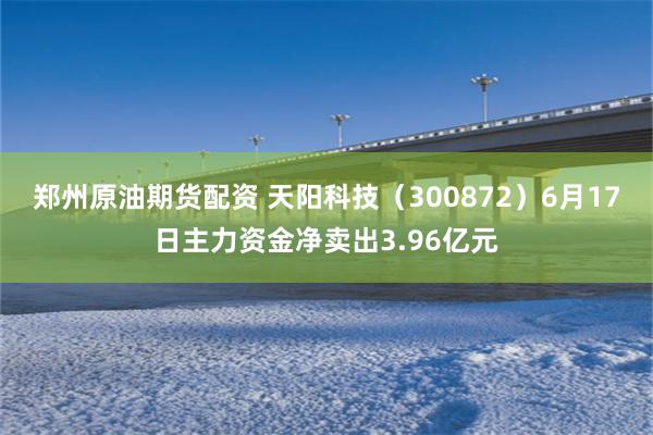 郑州原油期货配资 天阳科技（300872）6月17日主力资金净卖出3.96亿元