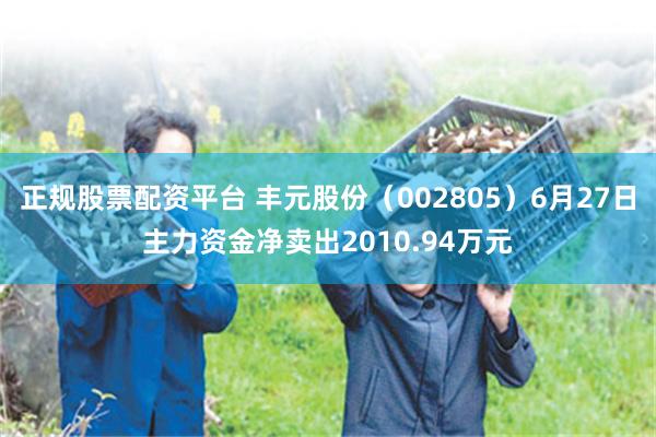 正规股票配资平台 丰元股份（002805）6月27日主力资金净卖出2010.94万元