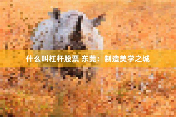 什么叫杠杆股票 东莞：制造美学之城