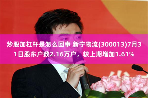 炒股加杠杆是怎么回事 新宁物流(300013)7月31日股东户数2.16万户，较上期增加1.61%