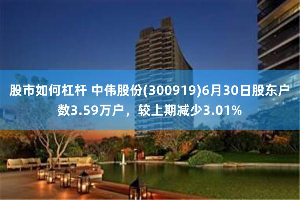 股市如何杠杆 中伟股份(300919)6月30日股东户数3.59万户，较上期减少3.01%