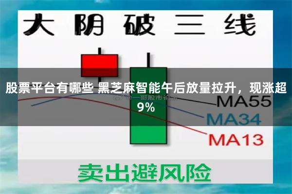 股票平台有哪些 黑芝麻智能午后放量拉升，现涨超9%