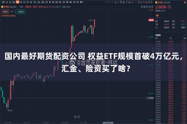 国内最好期货配资公司 权益ETF规模首破4万亿元，  汇金、险资买了啥？