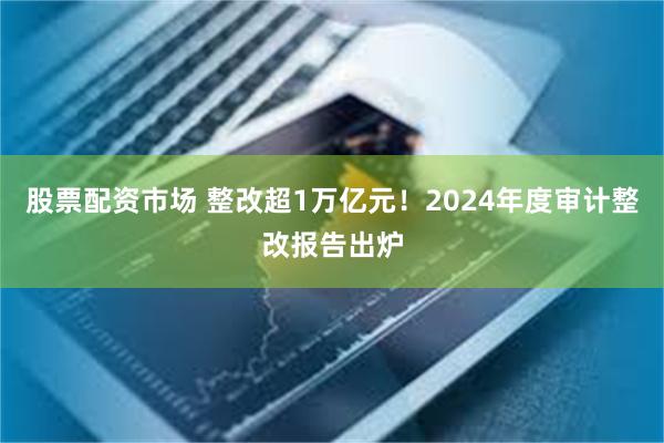 股票配资市场 整改超1万亿元！2024年度审计整改报告出炉