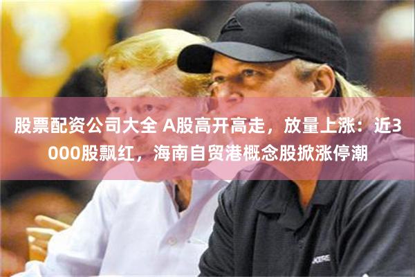 股票配资公司大全 A股高开高走,放量上涨:近3000股飘红,海南自贸港概念股掀涨停潮