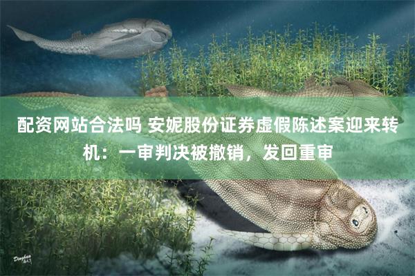 配资网站合法吗 安妮股份证券虚假陈述案迎来转机：一审判决被撤销，发回重审