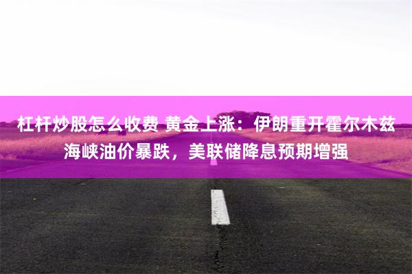 杠杆炒股怎么收费 黄金上涨：伊朗重开霍尔木兹海峡油价暴跌，美联储降息预期增强