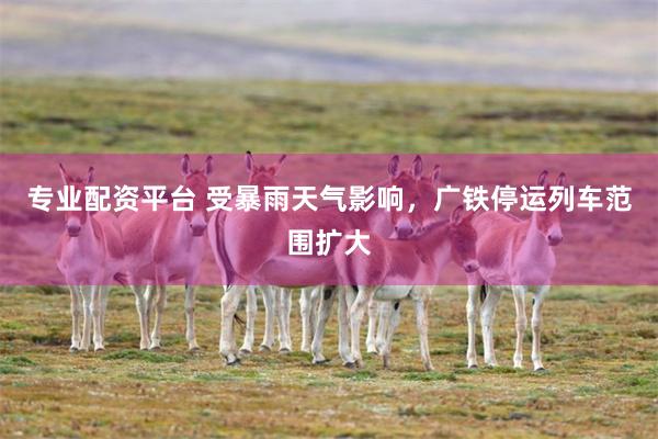 专业配资平台 受暴雨天气影响，广铁停运列车范围扩大