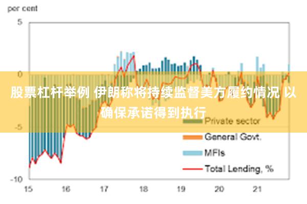 股票杠杆举例 伊朗称将持续监督美方履约情况 以确保承诺得到执行