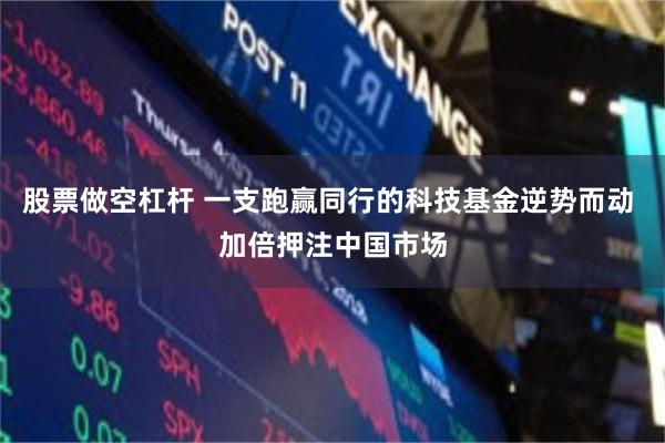 股票做空杠杆 一支跑赢同行的科技基金逆势而动 加倍押注中国市场