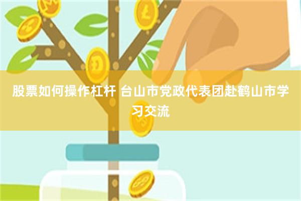 股票如何操作杠杆 台山市党政代表团赴鹤山市学习交流