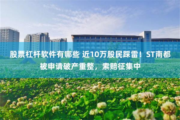 股票杠杆软件有哪些 近10万股民踩雷!ST南都被申请破产重整,索赔征集中