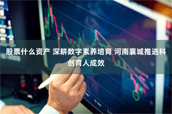 股票什么资产 深耕数字素养培育 河南襄城推进科创育人成效