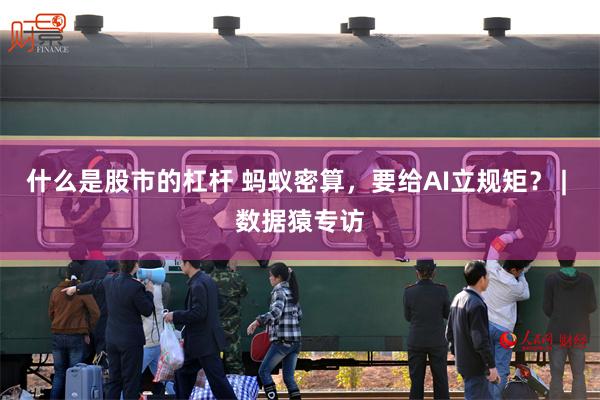 什么是股市的杠杆 蚂蚁密算，要给AI立规矩？ | 数据猿专访