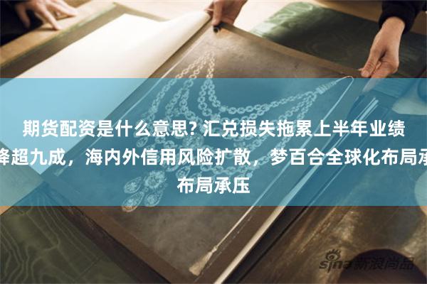 期货配资是什么意思? 汇兑损失拖累上半年业绩预降超九成，海内外信用风险扩散，梦百合全球化布局承压