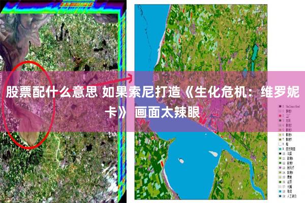 股票配什么意思 如果索尼打造《生化危机：维罗妮卡》 画面太辣眼