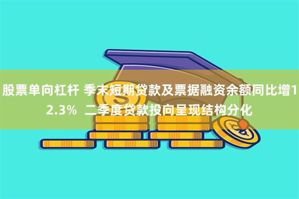 股票单向杠杆 季末短期贷款及票据融资余额同比增12.3% 二季度贷款投向呈现结构分化