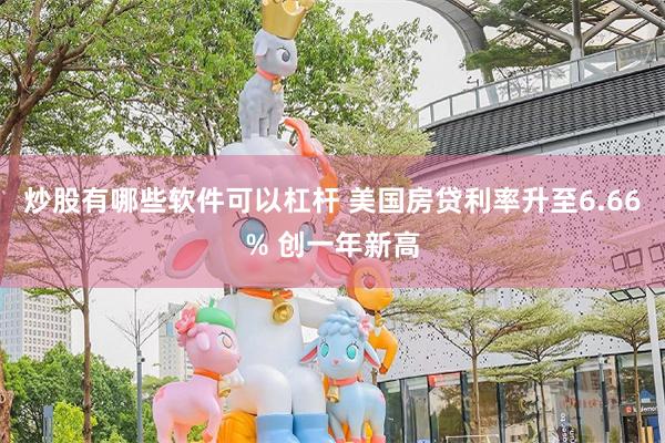 炒股有哪些软件可以杠杆 美国房贷利率升至6.66% 创一年新高