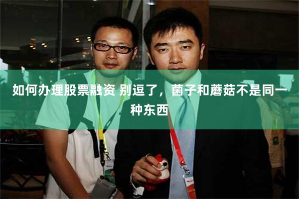 如何办理股票融资 别逗了，菌子和蘑菇不是同一种东西