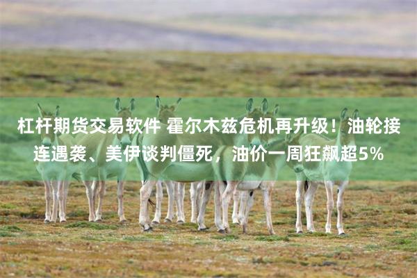 杠杆期货交易软件 霍尔木兹危机再升级！油轮接连遇袭、美伊谈判僵死，油价一周狂飙超5%