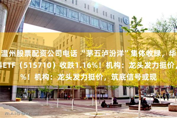 温州股票配资公司电话 “茅五泸汾洋”集体收绿，华宝基金食品饮料ETF（515710）收跌1.16%！机构：龙头发力挺价，筑底信号或现