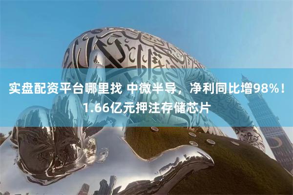 实盘配资平台哪里找 中微半导，净利同比增98%！1.66亿元押注存储芯片