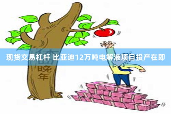现货交易杠杆 比亚迪12万吨电解液项目投产在即