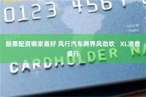 股票配资哪家最好 风行汽车跨界风劲吹   XL消费盛行