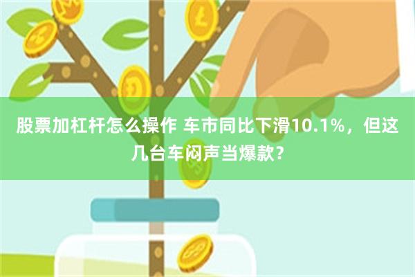 股票加杠杆怎么操作 车市同比下滑10.1%，但这几台车闷声当爆款？