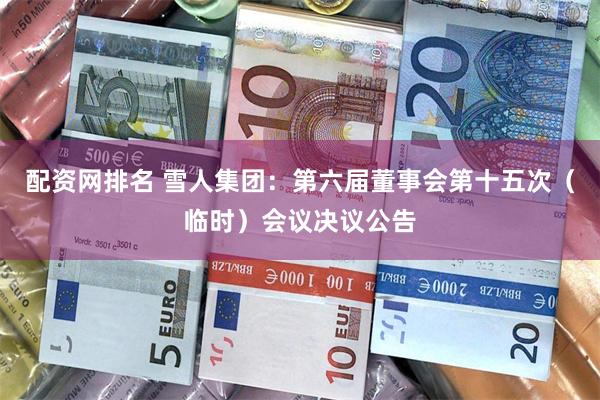 配资网排名 雪人集团：第六届董事会第十五次（临时）会议决议公告